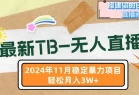 最新TB-无人直播 11月最新，打造你的日不落直播间，轻松月入3W+